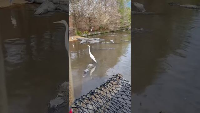 До берега подвези! ? смотреть онлайн