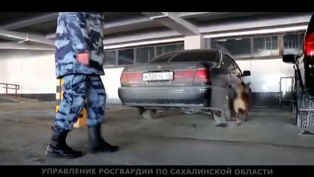 Тихо! Работает Базука смотреть онлайн