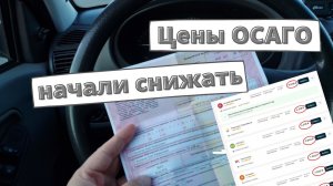 Цены ОСАГО начали снижать [сентябрь 2022]
