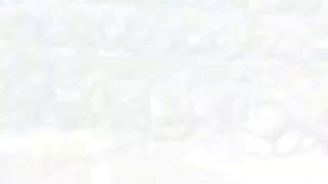 ? Катарина F1 - гибрид белокочанной капусты Bejo смотреть онлайн