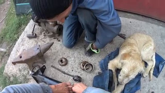Не было смазки и сгорел подшипник на дискаторе! Заменили подшипник и не пожалели смазки на дискато смотреть онлайн