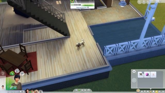 The Sims 4 Кошки и собаки #9 У КОГО-ТО БУДЕТ... смотреть онлайн