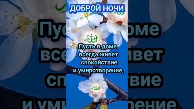 Доброй ночи!Всем дорогие мои!..Будьте любимы необходимы Будьте здоровы успешны и Богом хранимы