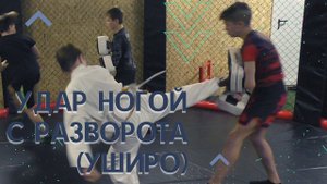 Удар ногой с разворота (уширо)