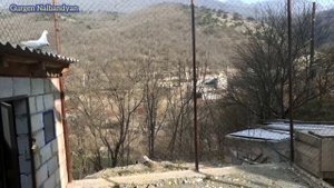 Бойные Голуби в Горах Армении /IJEVAN / Gandzaqar