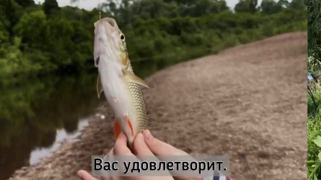 Река Белая/Агидель. Интересные факты о реке с туристической точки зрения