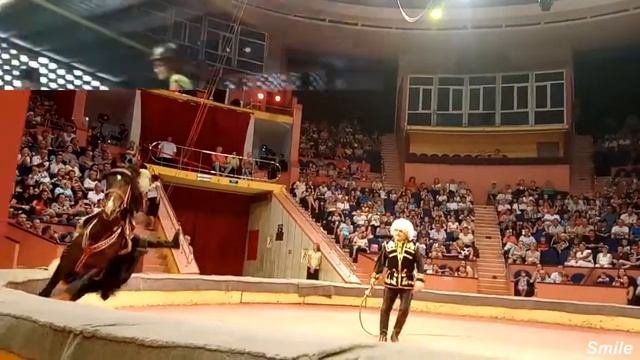Вера…Надежда…Любовь…Запретная…Заветная…Смайли…Smile…717