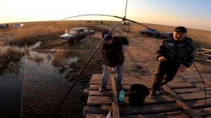 РЫБАЛКА НА ПАУК ПОДЪЁМНИК ЧЕБАК КИШИТ