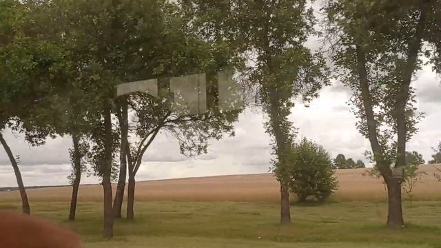 ТОПЧАРА! Минский район!Поездка на автобусе MAZ 206.086 (ГОС. АТ 2410-5) Марш. 486С смотреть онлайн