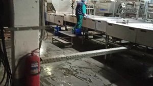 Башкирская птицефабрика Авдон производит 2 миллиона яиц в день