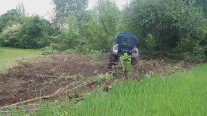 Как легко и быстро выкорчевать дерево или пень. Идеи для дачи