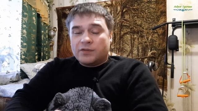 Решил сменить оператора телефона. Как повёл себя мегафон