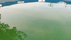 Чистка бассейна перекисью водорода ч 1