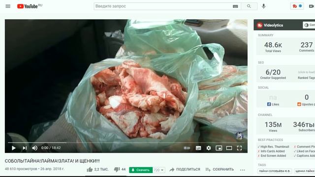 Щенки лаек соловьева выращиваются для охотников и егерей в дар или на продажу?