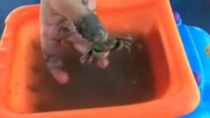 самое первое артура и давида