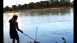 Рыбалка, Канальный сомик 1,7кг. река Кубань. Донка, Fishing angeln la pesca câu cá 钓鱼 рыбалка