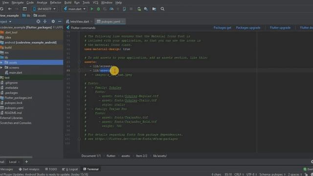 Intro View in Flutter | Flutter Tutorials | Flutter by Google | #Flutter | #CodeStudio