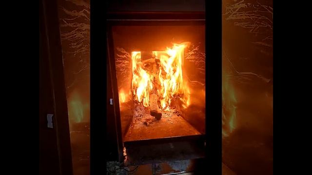 Отличные веники для бани, пришлось спалить в печи Ферингер смотреть онлайн