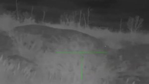 охота на шакала с тепловизором Iray Geni GL35R