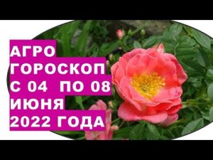 Агрогороскоп с 04 по 08 июня 2022 года