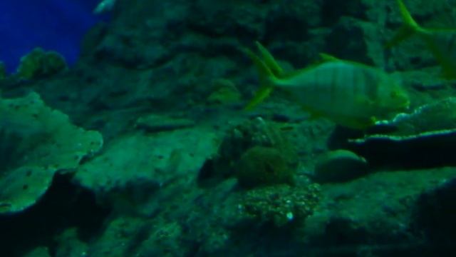 Юго-восточная Азия. смотреть онлайн