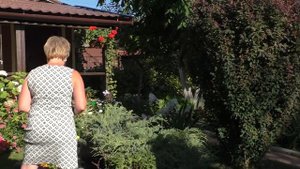 ЦВЕТЫ В АВГУСТЕ: САЖАЕМ, СЕЕМ, ДЕЛИМ!