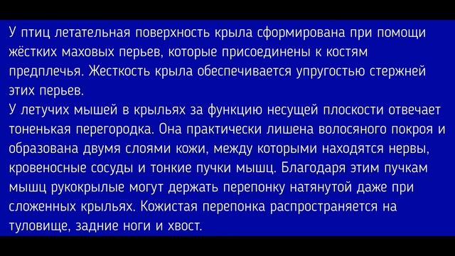 Биология 7 класс. §25 Многообразие млекопитающих смотреть онлайн
