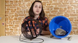 Колесо для ежика!!!  Какое выбрать ??? The best wheel for a hedgehog!