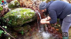 Χρυσαφένιοι, Τραγανοί και Πεντανόστιμοι Κολοκυθοκεφτέδες| Ντιπ κάπαρης | #DoStathi