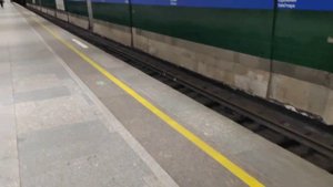 Метро в Санкт-Петербурге от станции "Удельная" до станции "Проспект Просвещения"