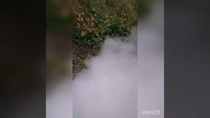 Древесный уголь своими руками