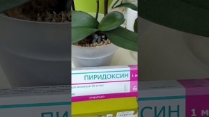 реанимация орхидеи 💯 результат. быстрый способ пиридоксин он же магний В6 и никотиновая кислота.