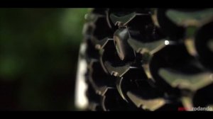 Comparativa KIA SPORTAGE vs MAZDA CX-5