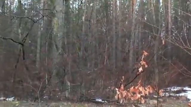 апрельские виды и звуки смотреть онлайн