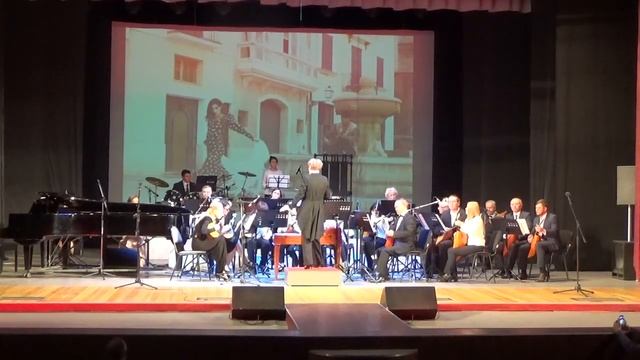 121 Шаты Ольга оркестр г Ухта Хабанера и Пасодобль смотреть онлайн