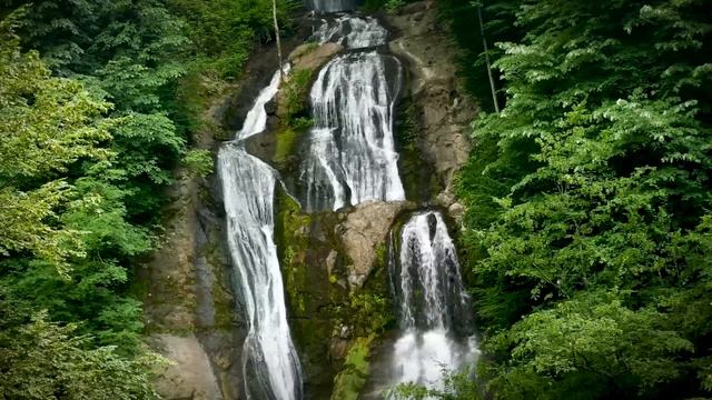 С супругом-то я помирилась, а вот его родителей и близко видеть не хочу смотреть онлайн