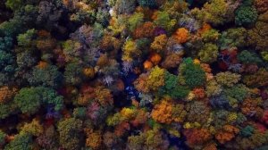 Очнувшись в сырой могиле, беременная Настя ничего не понимала, а услышав разговор свекрови с мужем.