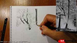 лесной пейзаж карандашом