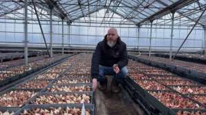 Как правильно расставить гидропонике лотки в теплице.