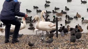 Горячий ключ, санаторий предгорье Кавказа.