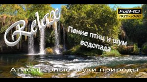 ⚜️ Пение птиц | шум водопада Звуки природы видео для сна звуки тропического леса чарующие звуки