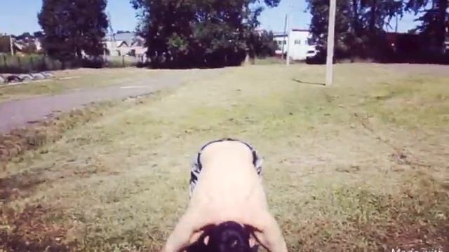 Workout. Виды потягивания и отжимания :) смотреть онлайн