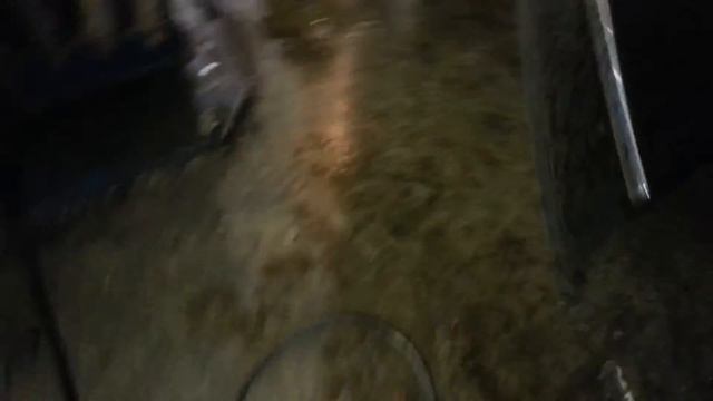 2007 VW Passat 3.6 Engine Test Run Video смотреть онлайн