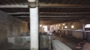Полы в свинарнике. Почему выбрали резиновый пол для свиней. Выпуск 7