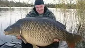 Самый большой карп в мире!