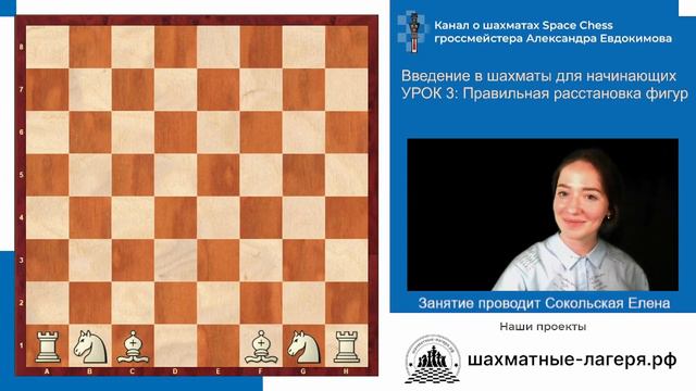 Расстановка фигур. Шахматы для начинающих 4+. Урок №3.