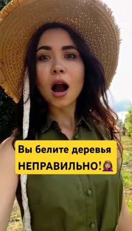 Главная ОШИБКА при побелке деревьев
