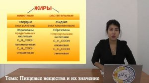 «Пищевые вещества и их значение»