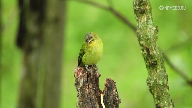 А на каком языке любви говорите вы? смотреть онлайн
