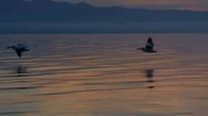 Смирение и послушание Богу Священник Игорь Сильченков